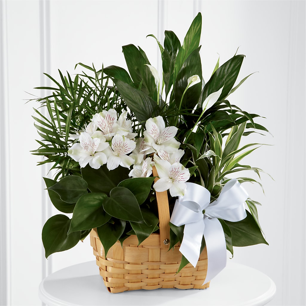 Peace & Serenity Dishgarden – Heartfield Florist, Huntsville TX