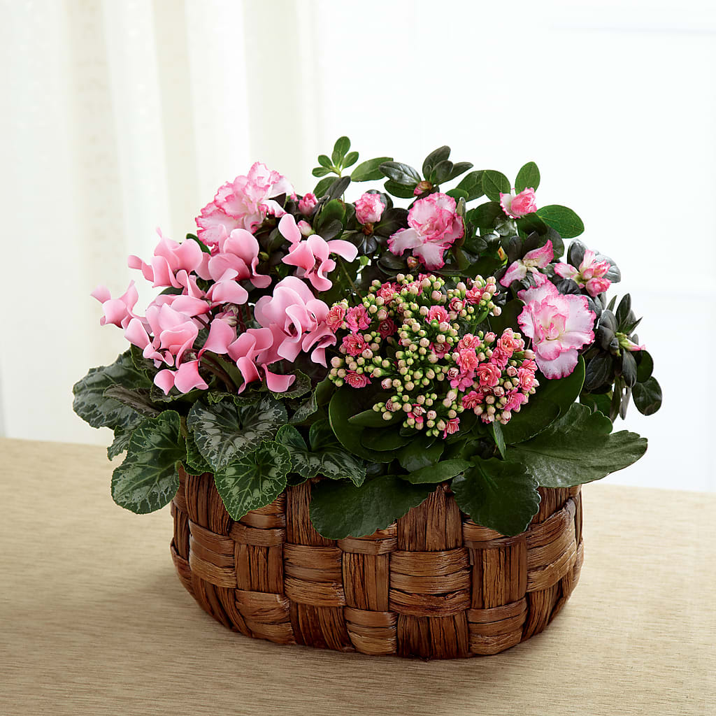 Pink Assortment – Heartfield Florist, Huntsville TX