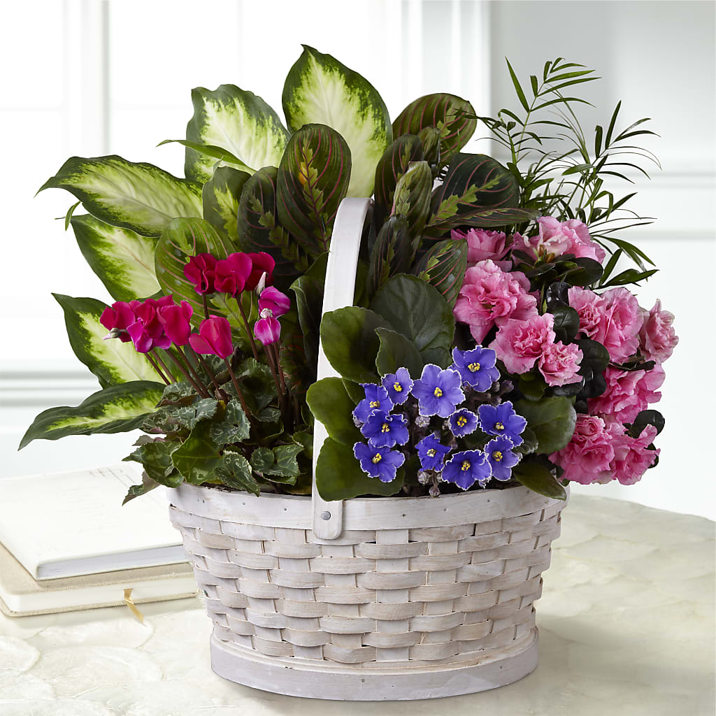 Peaceful Garden Planter – Heartfield Florist, Huntsville TX