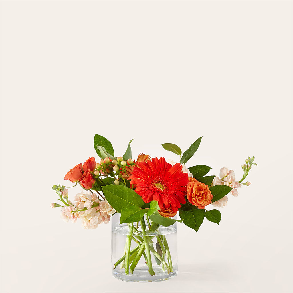 Paloma Please Bouquet – Heartfield Florist, Huntsville TX