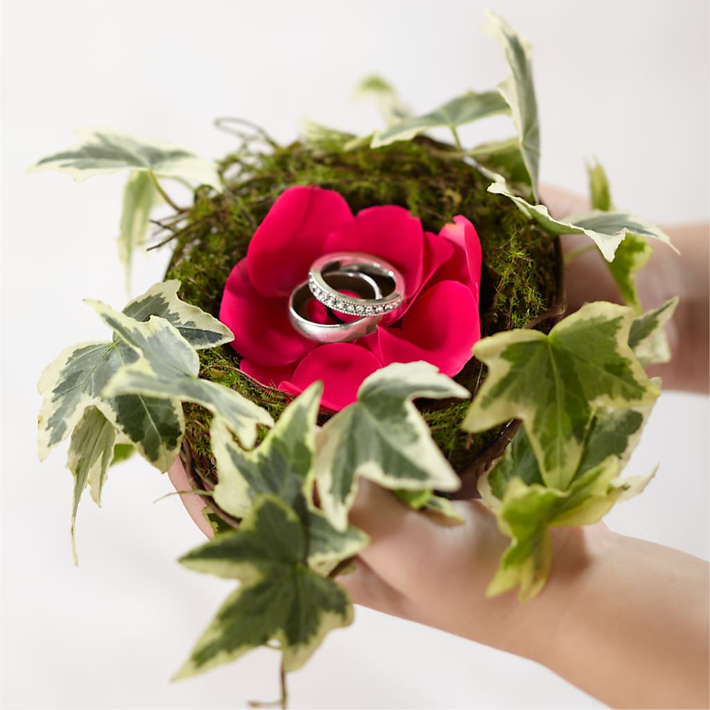 Lila Rose Ring Nest – Heartfield Florist, Huntsville TX