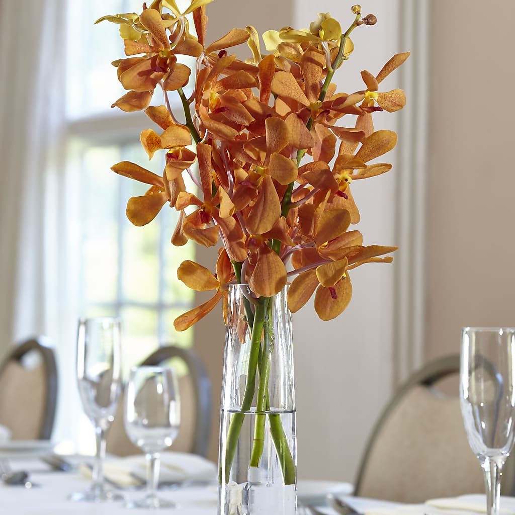 Orange Mokara Bud Vase – Heartfield Florist, Huntsville TX