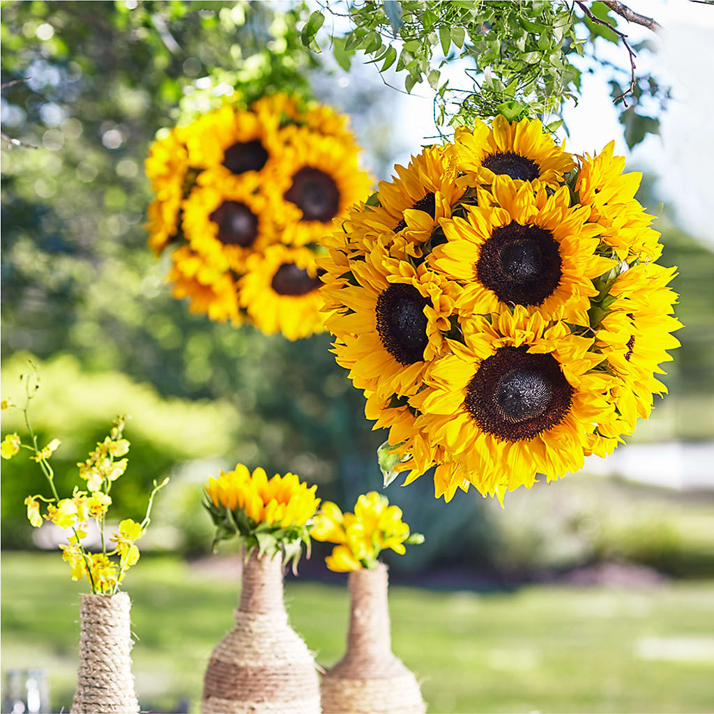 Sublime Garden Hanging Arrangement – Heartfield Florist, Huntsville TX