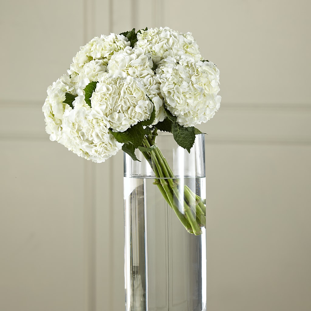 White Hydrangea Hand-Tied Bouquet – Heartfield Florist, Huntsville TX