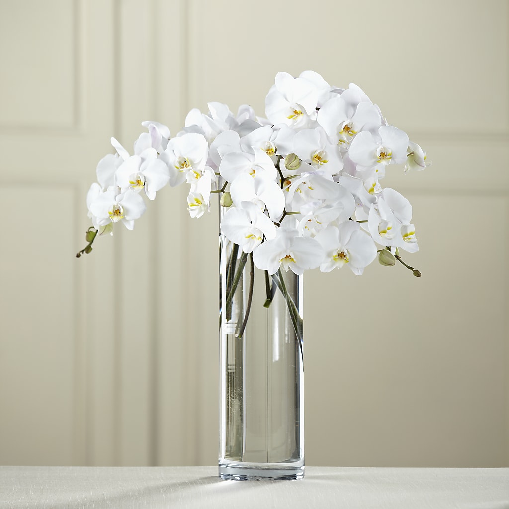 White Phalaenopsis Bouquet – Heartfield Florist, Huntsville TX