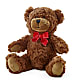 Adorable Plush Bear –  Heartfield Florist, Huntsville TX