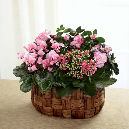 Pink Assortment –  Heartfield Florist, Huntsville TX
