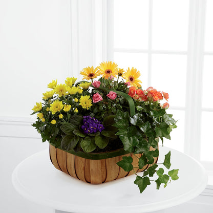 Gentle Blossoms Basket –  Heartfield Florist, Huntsville TX
