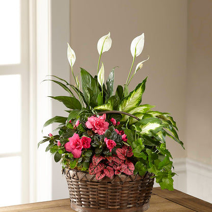 Dream in Pink Dishgarden –  Heartfield Florist, Huntsville TX