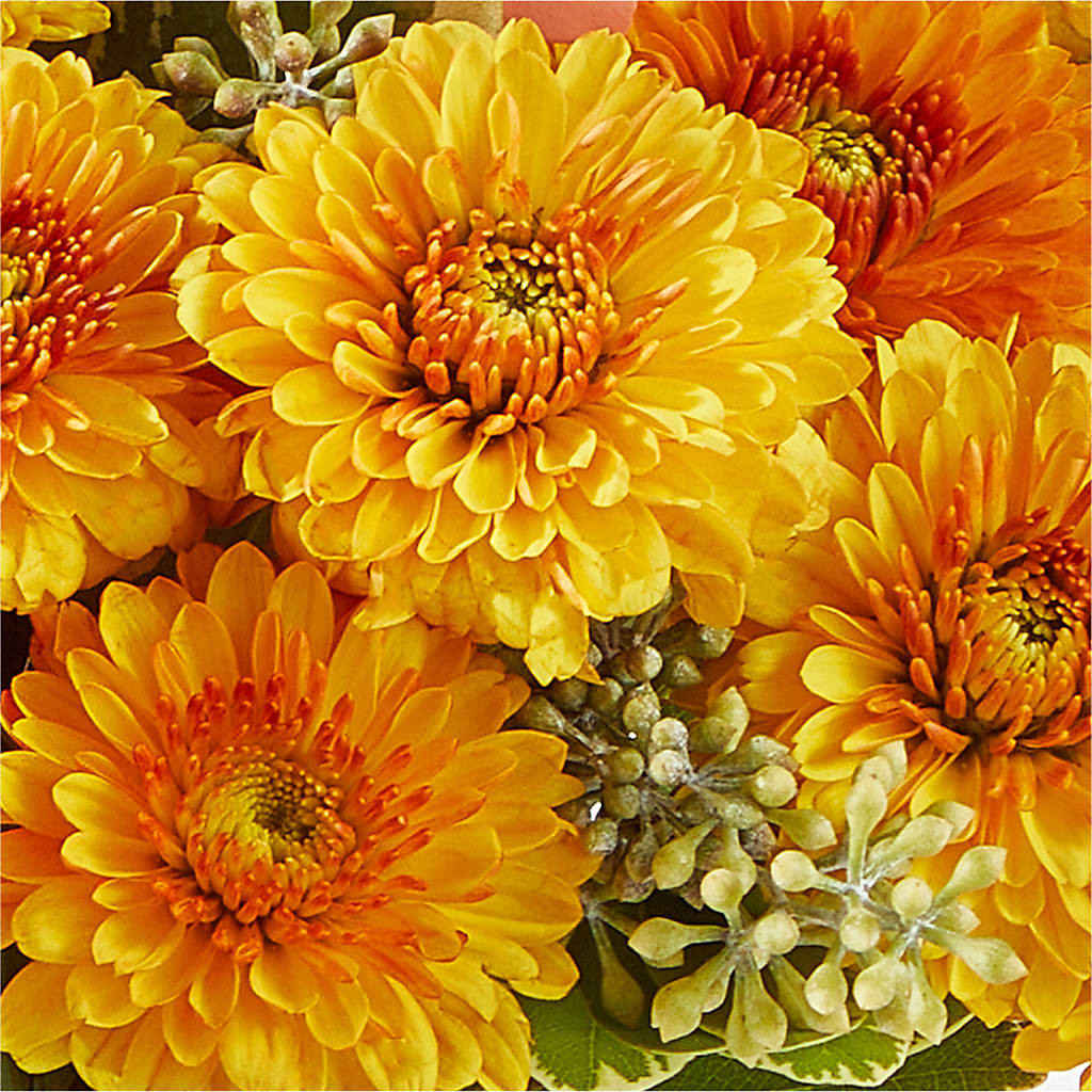 Peachy Pumpkin –  Heartfield Florist, Huntsville TX