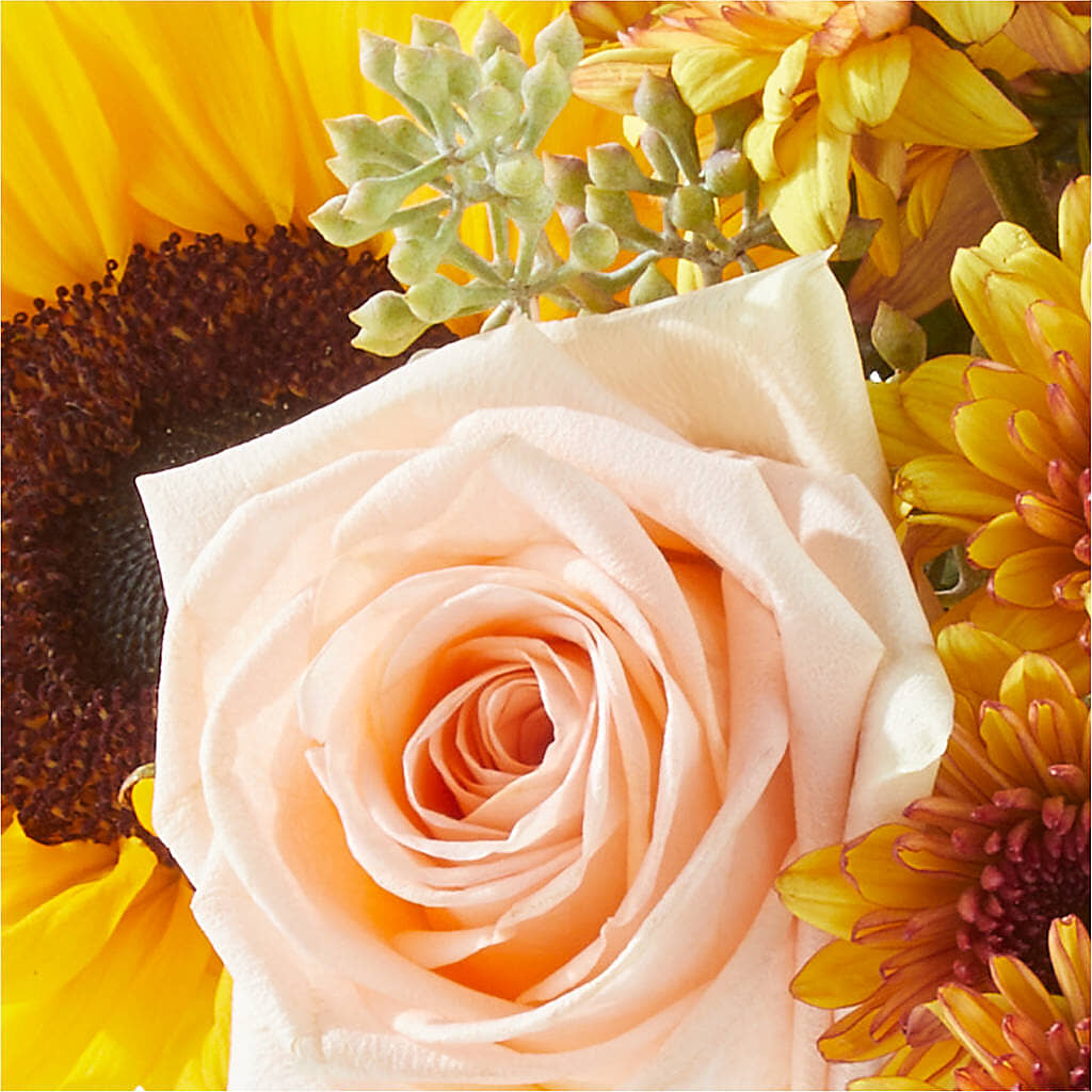 Pumpkin to Talk About Bouquet –  Heartfield Florist, Huntsville TX