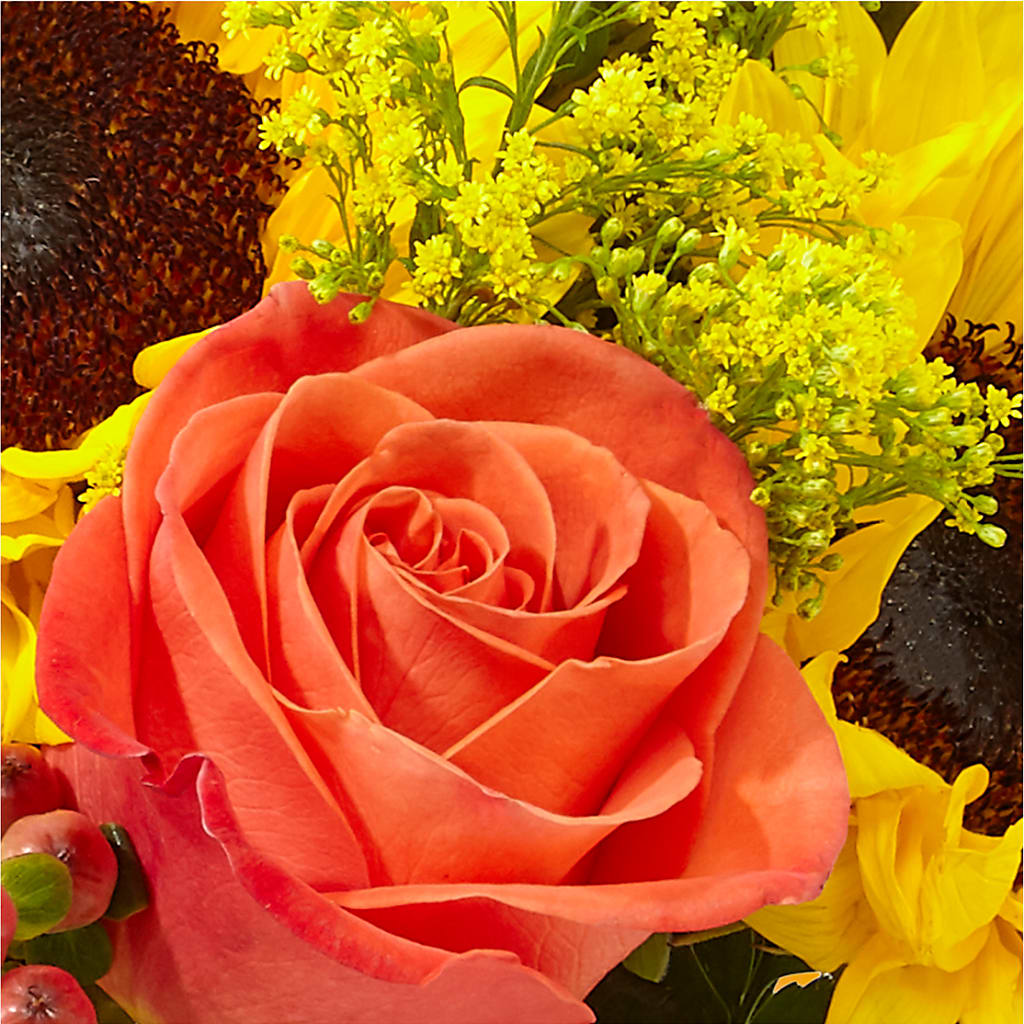 Pick of the Patch Pumpkin Bouquet –  Heartfield Florist, Huntsville TX