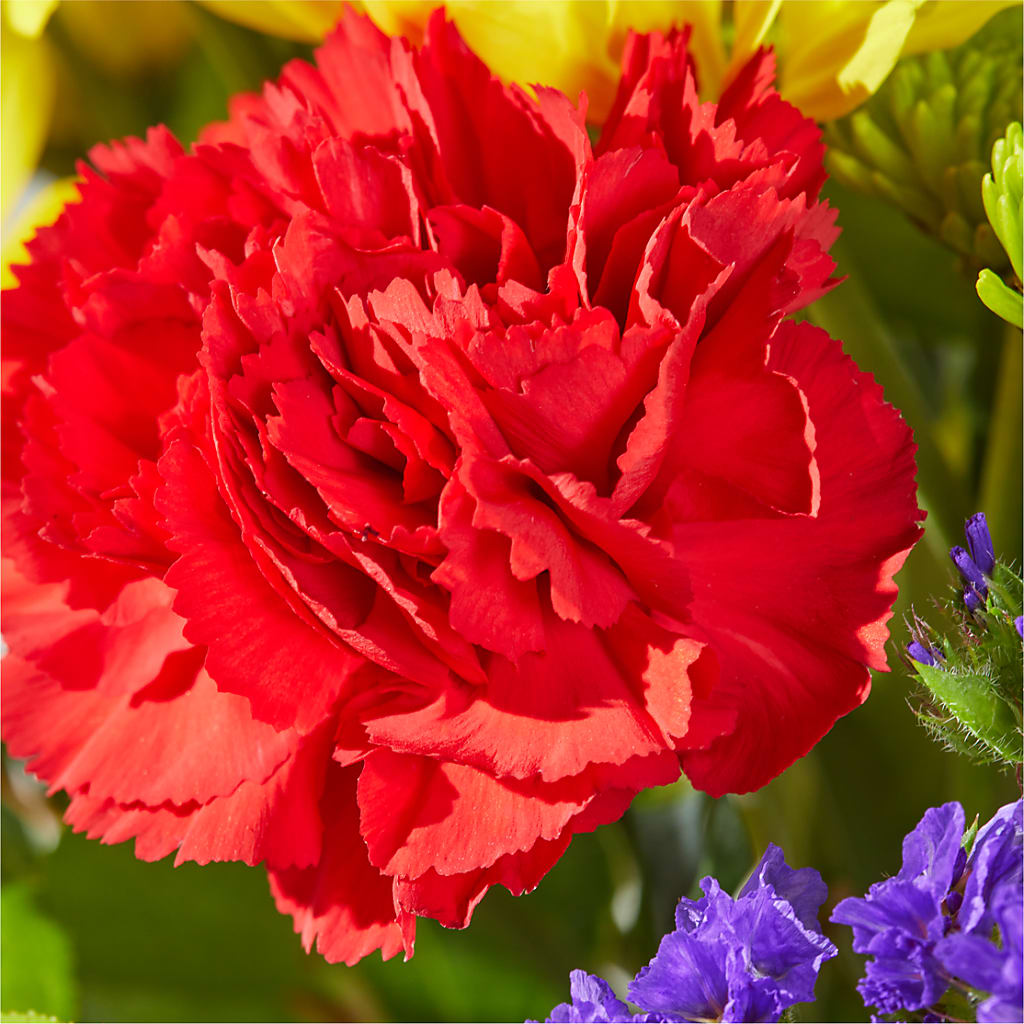 Brighter Days Bouquet –  Heartfield Florist, Huntsville TX