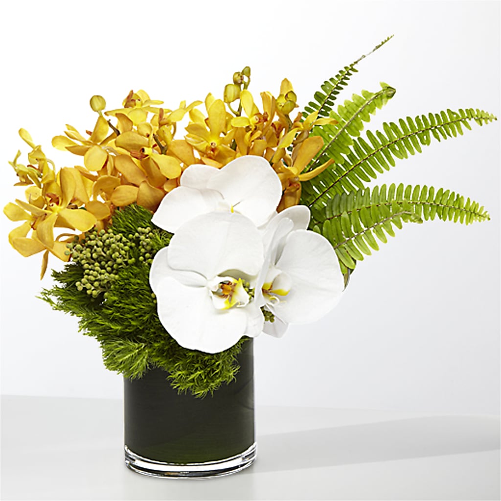 The Tropics –  Heartfield Florist, Huntsville TX