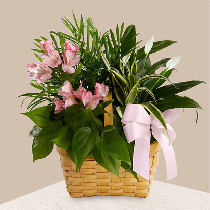 Living Spirit Dishgarden –  Heartfield Florist, Huntsville TX