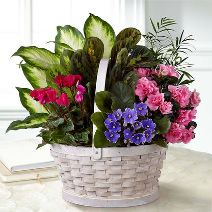 Peaceful Garden Planter –  Heartfield Florist, Huntsville TX