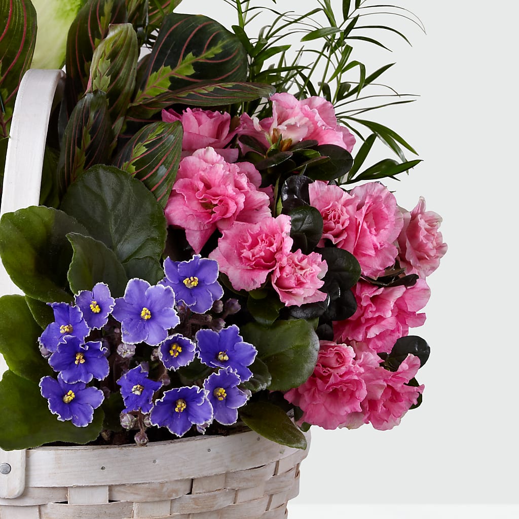 Peaceful Garden Planter –  Heartfield Florist, Huntsville TX
