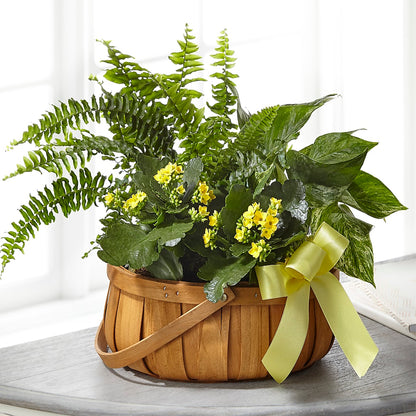 Always Dear Dishgarden –  Heartfield Florist, Huntsville TX