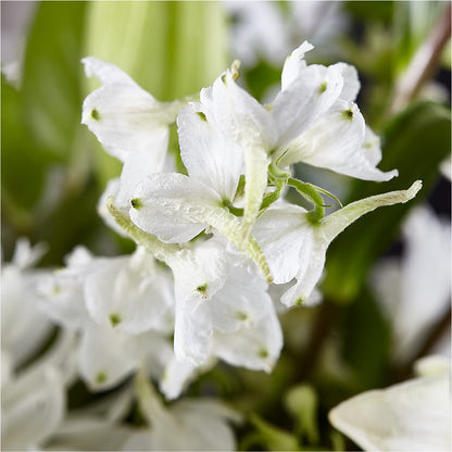 Classic Ivory – A Florist Original –  Heartfield Florist, Huntsville TX