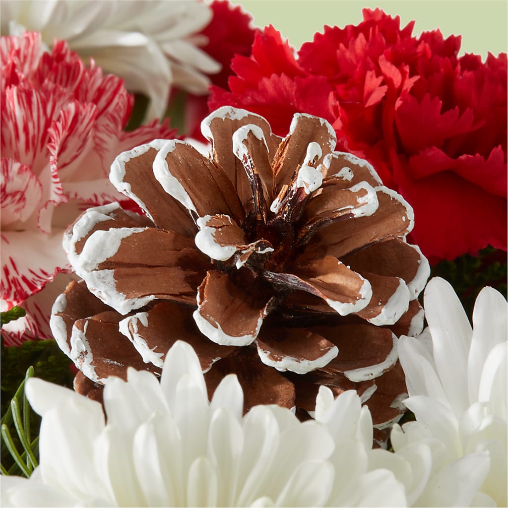 Candy Cane Lane Bouquet –  Heartfield Florist, Huntsville TX