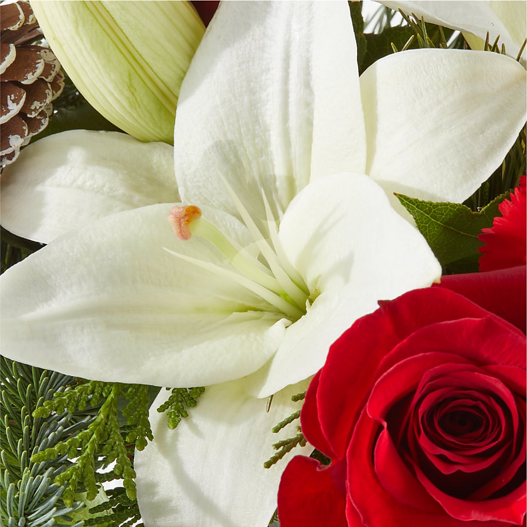 Oh So Jolly Bouquet –  Heartfield Florist, Huntsville TX