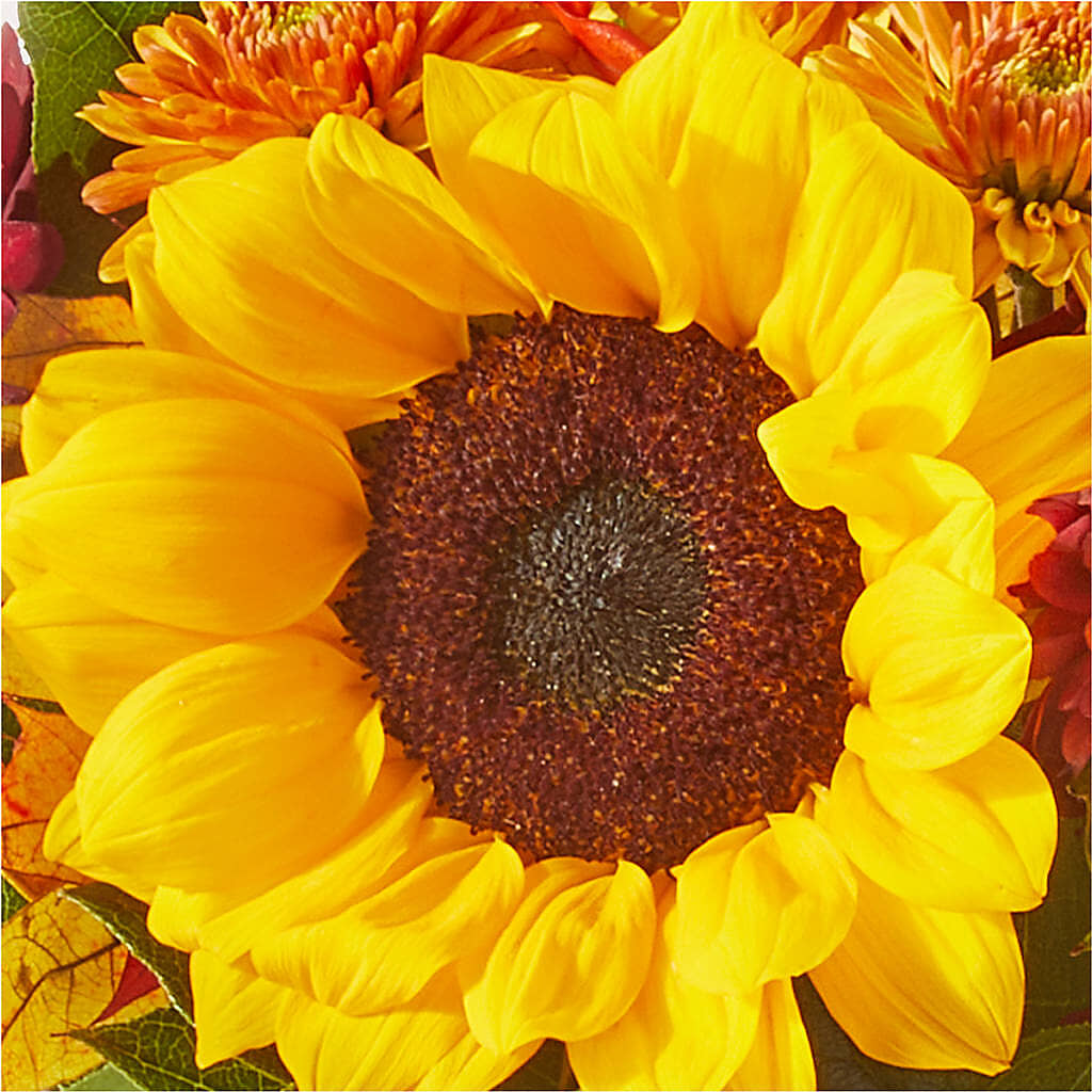 Sunny Side Bouquet –  Heartfield Florist, Huntsville TX