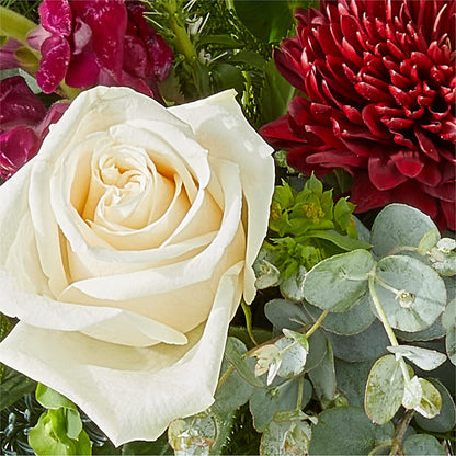 Cranberry Fizz Bouquet –  Heartfield Florist, Huntsville TX