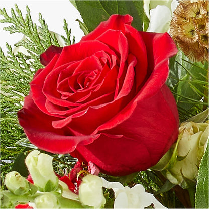 Deck the Halls Bouquet –  Heartfield Florist, Huntsville TX
