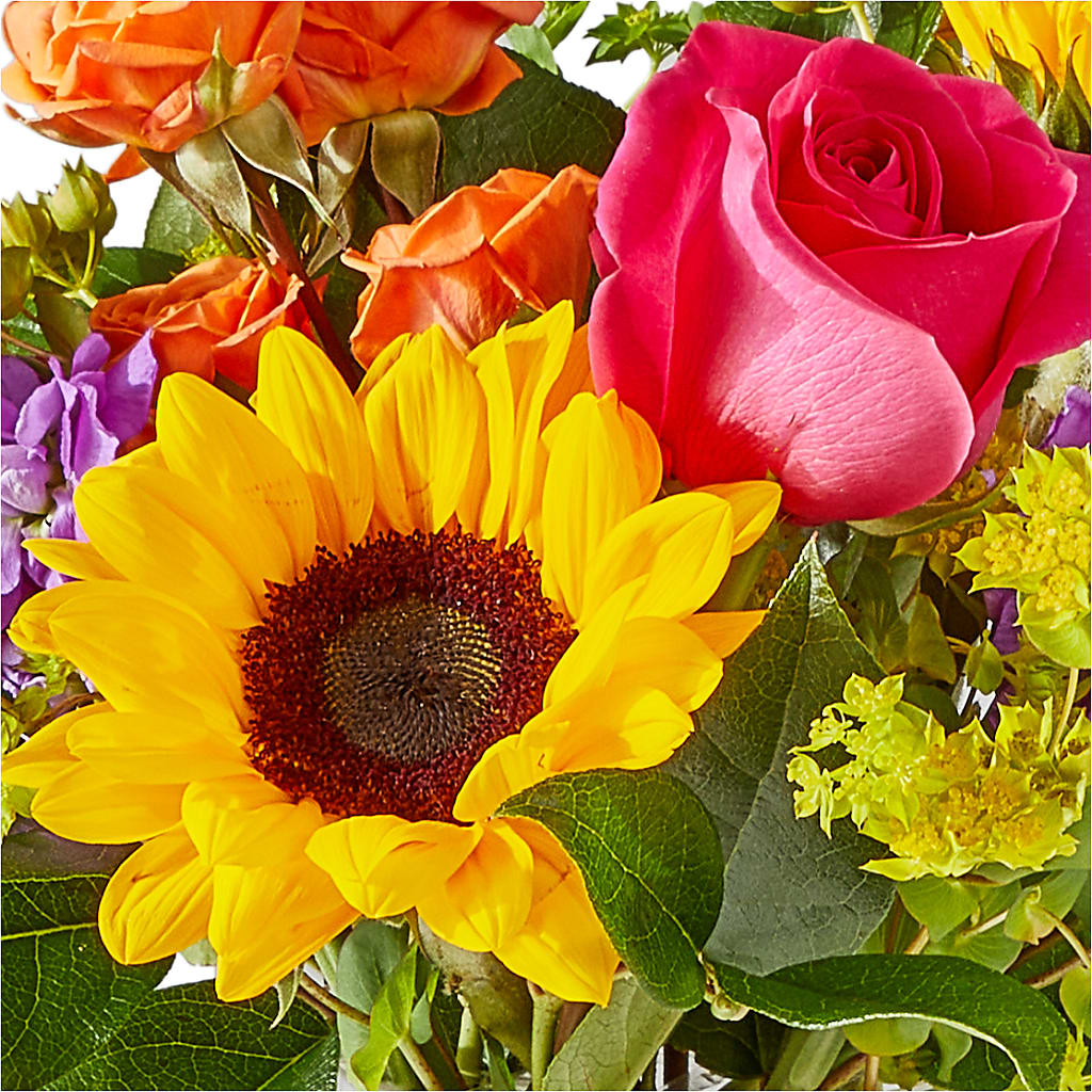 Vibrant Greetings Bouquet –  Heartfield Florist, Huntsville TX