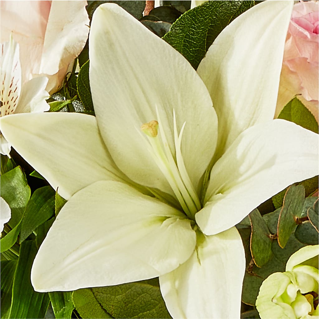 Ballet Slippers Bouquet –  Heartfield Florist, Huntsville TX