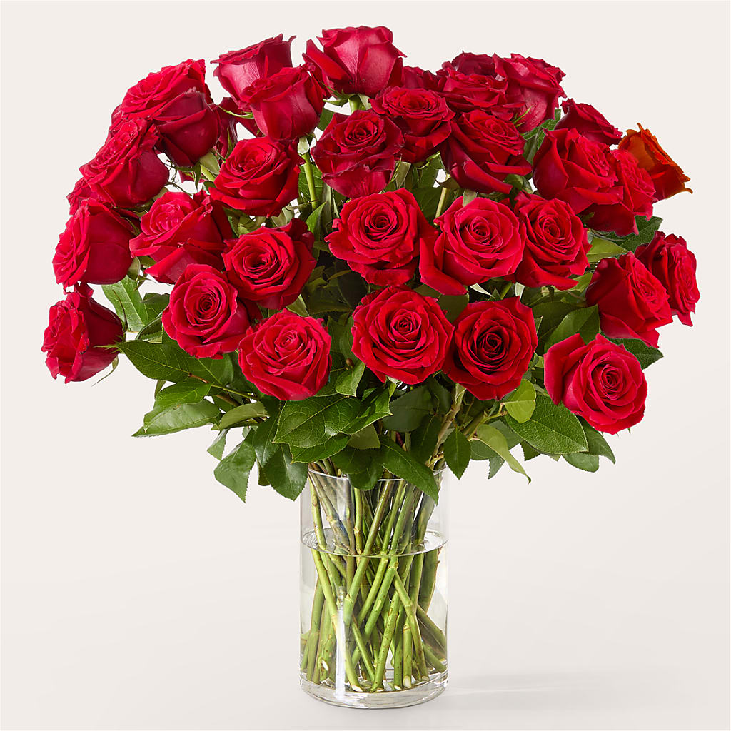 The One Red Rose Bouquet –  Heartfield Florist, Huntsville TX