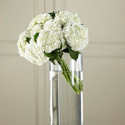 White Hydrangea Hand-Tied Bouquet –  Heartfield Florist, Huntsville TX