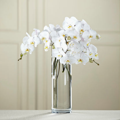 White Phalaenopsis Bouquet –  Heartfield Florist, Huntsville TX